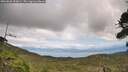 ./images/calvert/fitz-hugh-hecate/20260826/fitz-hugh-hecate20260826_154001M.jpg