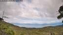 ./images/calvert/fitz-hugh-hecate/20260826/fitz-hugh-hecate20260826_155001M.jpg