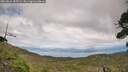 ./images/calvert/fitz-hugh-hecate/20260826/fitz-hugh-hecate20260826_155501M.jpg