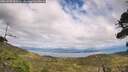 ./images/calvert/fitz-hugh-hecate/20260826/fitz-hugh-hecate20260826_160501M.jpg
