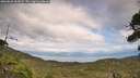 ./images/calvert/fitz-hugh-hecate/20260826/fitz-hugh-hecate20260826_162001M.jpg