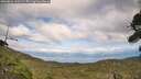 ./images/calvert/fitz-hugh-hecate/20260826/fitz-hugh-hecate20260826_162501M.jpg