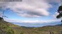 ./images/calvert/fitz-hugh-hecate/20260826/fitz-hugh-hecate20260826_164501M.jpg