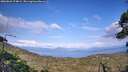 ./images/calvert/fitz-hugh-hecate/20260826/fitz-hugh-hecate20260826_174001M.jpg