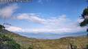 ./images/calvert/fitz-hugh-hecate/20260826/fitz-hugh-hecate20260826_175001M.jpg