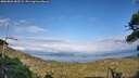 ./images/calvert/fitz-hugh-hecate/20260826/fitz-hugh-hecate20260826_182502M.jpg