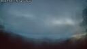 ./images/calvert/fitz-hugh-hecate/20260827/fitz-hugh-hecate20260827_060501M.jpg