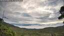 ./images/calvert/fitz-hugh-hecate/20260827/fitz-hugh-hecate20260827_082002M.jpg