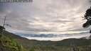 ./images/calvert/fitz-hugh-hecate/20260827/fitz-hugh-hecate20260827_084501M.jpg
