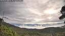 ./images/calvert/fitz-hugh-hecate/20260827/fitz-hugh-hecate20260827_085001M.jpg