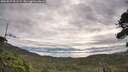 ./images/calvert/fitz-hugh-hecate/20260827/fitz-hugh-hecate20260827_091502M.jpg