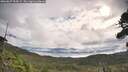 ./images/calvert/fitz-hugh-hecate/20260827/fitz-hugh-hecate20260827_094501M.jpg
