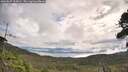./images/calvert/fitz-hugh-hecate/20260827/fitz-hugh-hecate20260827_095001M.jpg