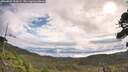./images/calvert/fitz-hugh-hecate/20260827/fitz-hugh-hecate20260827_100001M.jpg