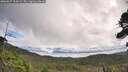./images/calvert/fitz-hugh-hecate/20260827/fitz-hugh-hecate20260827_102002M.jpg