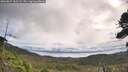 ./images/calvert/fitz-hugh-hecate/20260827/fitz-hugh-hecate20260827_102501M.jpg