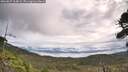 ./images/calvert/fitz-hugh-hecate/20260827/fitz-hugh-hecate20260827_104002M.jpg