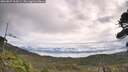 ./images/calvert/fitz-hugh-hecate/20260827/fitz-hugh-hecate20260827_104501M.jpg