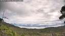 ./images/calvert/fitz-hugh-hecate/20260827/fitz-hugh-hecate20260827_105001M.jpg