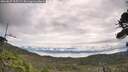 ./images/calvert/fitz-hugh-hecate/20260827/fitz-hugh-hecate20260827_105502M.jpg