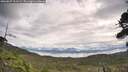 ./images/calvert/fitz-hugh-hecate/20260827/fitz-hugh-hecate20260827_111502M.jpg