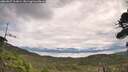 ./images/calvert/fitz-hugh-hecate/20260827/fitz-hugh-hecate20260827_113001M.jpg