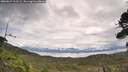 ./images/calvert/fitz-hugh-hecate/20260827/fitz-hugh-hecate20260827_113501M.jpg