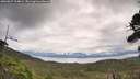 ./images/calvert/fitz-hugh-hecate/20260827/fitz-hugh-hecate20260827_114001M.jpg