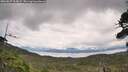 ./images/calvert/fitz-hugh-hecate/20260827/fitz-hugh-hecate20260827_115001M.jpg