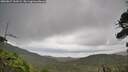 ./images/calvert/fitz-hugh-hecate/20260827/fitz-hugh-hecate20260827_131002M.jpg