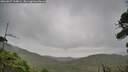 ./images/calvert/fitz-hugh-hecate/20260827/fitz-hugh-hecate20260827_134002M.jpg