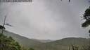 ./images/calvert/fitz-hugh-hecate/20260827/fitz-hugh-hecate20260827_135002M.jpg