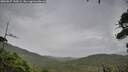 ./images/calvert/fitz-hugh-hecate/20260827/fitz-hugh-hecate20260827_140001M.jpg