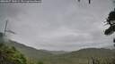 ./images/calvert/fitz-hugh-hecate/20260827/fitz-hugh-hecate20260827_140501M.jpg