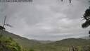 ./images/calvert/fitz-hugh-hecate/20260827/fitz-hugh-hecate20260827_141002M.jpg