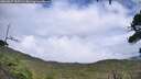 ./images/calvert/fitz-hugh-hecate/20260827/fitz-hugh-hecate20260827_155501M.jpg
