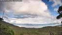 ./images/calvert/fitz-hugh-hecate/20260827/fitz-hugh-hecate20260827_165002M.jpg