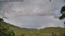 ./images/calvert/fitz-hugh-hecate/20260827/fitz-hugh-hecate20260827_190001M.jpg