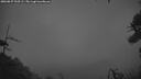 ./images/calvert/fitz-hugh-hecate/20260827/fitz-hugh-hecate20260827_210501M.jpg