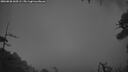 ./images/calvert/fitz-hugh-hecate/20260828/fitz-hugh-hecate20260828_060501M.jpg