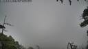 ./images/calvert/fitz-hugh-hecate/20260828/fitz-hugh-hecate20260828_085001M.jpg