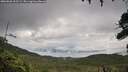 ./images/calvert/fitz-hugh-hecate/20260828/fitz-hugh-hecate20260828_103501M.jpg