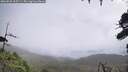 ./images/calvert/fitz-hugh-hecate/20260828/fitz-hugh-hecate20260828_105501M.jpg