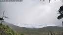 ./images/calvert/fitz-hugh-hecate/20260828/fitz-hugh-hecate20260828_110002M.jpg