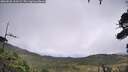 ./images/calvert/fitz-hugh-hecate/20260828/fitz-hugh-hecate20260828_113501M.jpg
