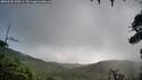 ./images/calvert/fitz-hugh-hecate/20260828/fitz-hugh-hecate20260828_120001M.jpg