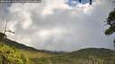 ./images/calvert/fitz-hugh-hecate/20260828/fitz-hugh-hecate20260828_123501M.jpg