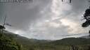 ./images/calvert/fitz-hugh-hecate/20260828/fitz-hugh-hecate20260828_133501M.jpg