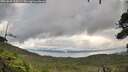 ./images/calvert/fitz-hugh-hecate/20260828/fitz-hugh-hecate20260828_135002M.jpg