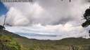 ./images/calvert/fitz-hugh-hecate/20260828/fitz-hugh-hecate20260828_143001M.jpg